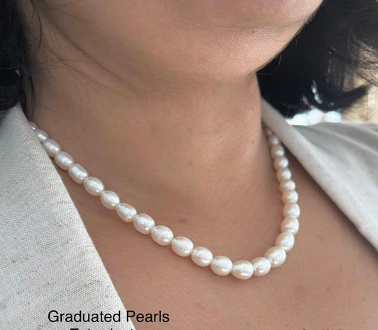 Elegant Graduation